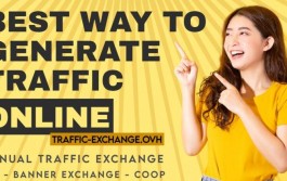 Traffic exchange
