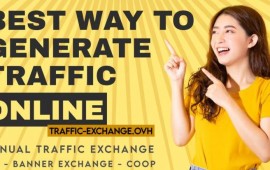Traffic exchange